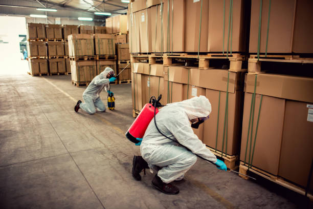 Best Rat Extermination Near Me  in Passaic, NJ