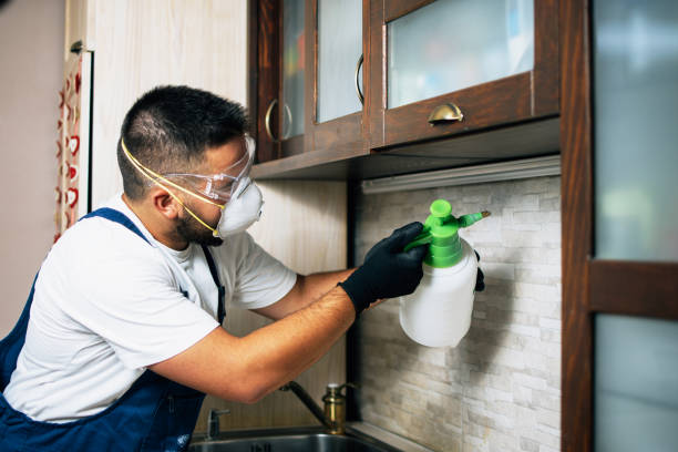 Best Best Pest Control Companies  in Passaic, NJ