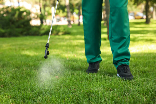 Best Pest Control Near Me in Passaic, NJ