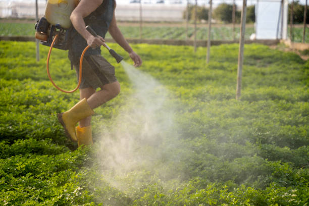 Best Mosquito Control Services  in Passaic, NJ