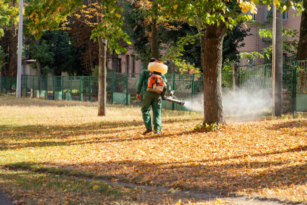 Best Cockroach Control Services  in Passaic, NJ