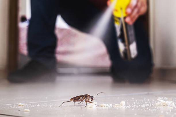 Best Rodent Control Near Me  in Passaic, NJ