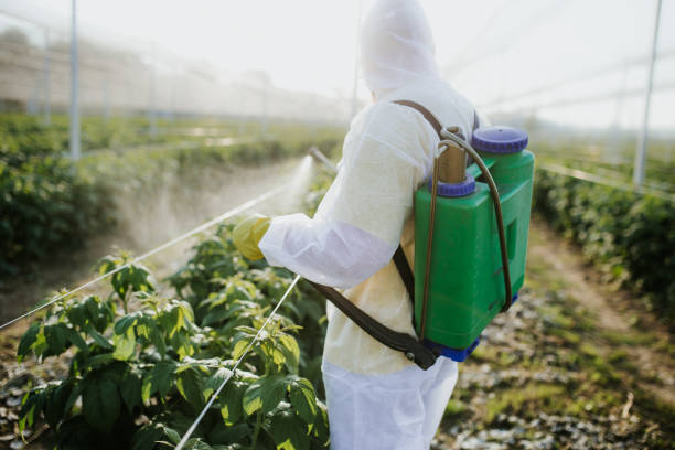 Best Residential Pest Control  in Passaic, NJ
